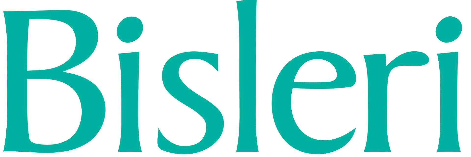 logo 13